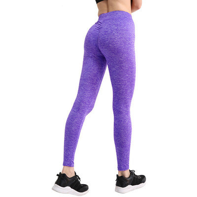 Women's Seamless Leggings Yoga Workout Leggings Au+hentic Sport Spot