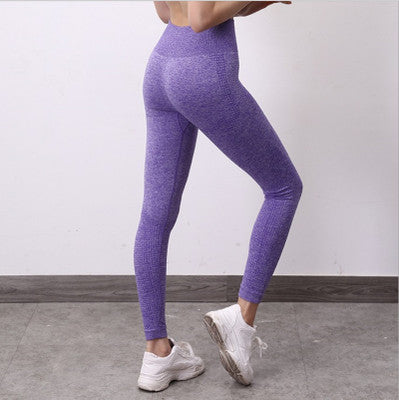 Women's Seamless Leggings Yoga Workout Leggings Au+hentic Sport Spot